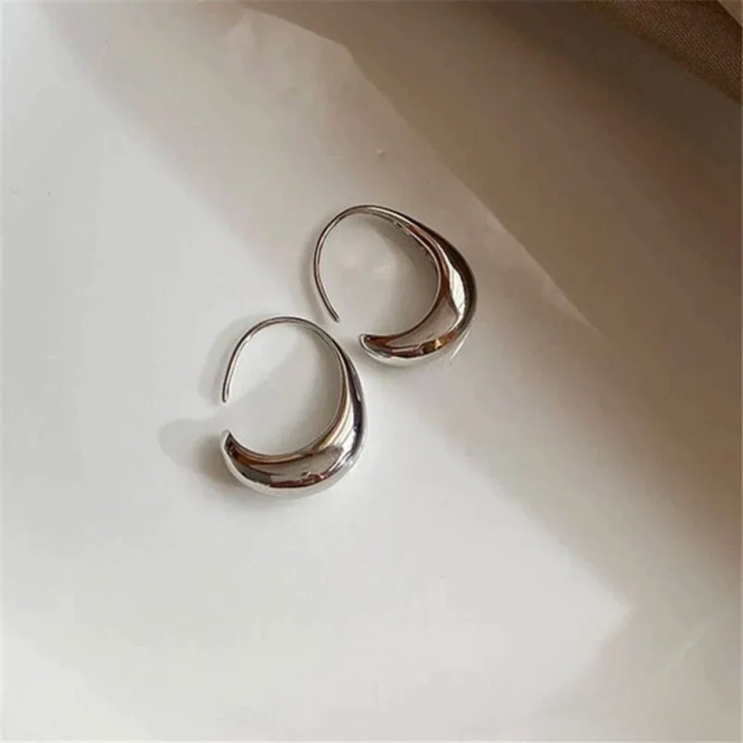 Luxurious Gold and Silver Earrings VIP