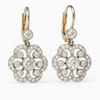 Vintage Crystal Earrings for Women VIP